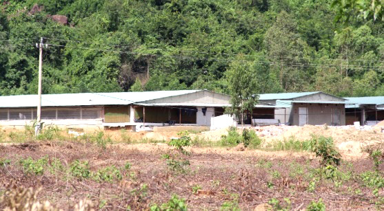 Thông tin từ đường dây nóng